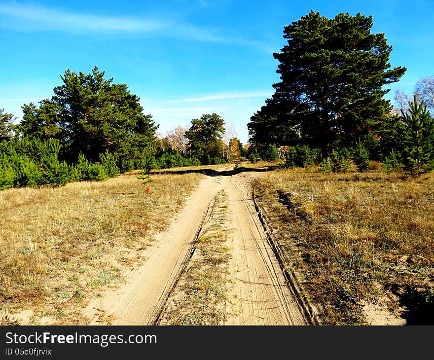 Road Into Autumn