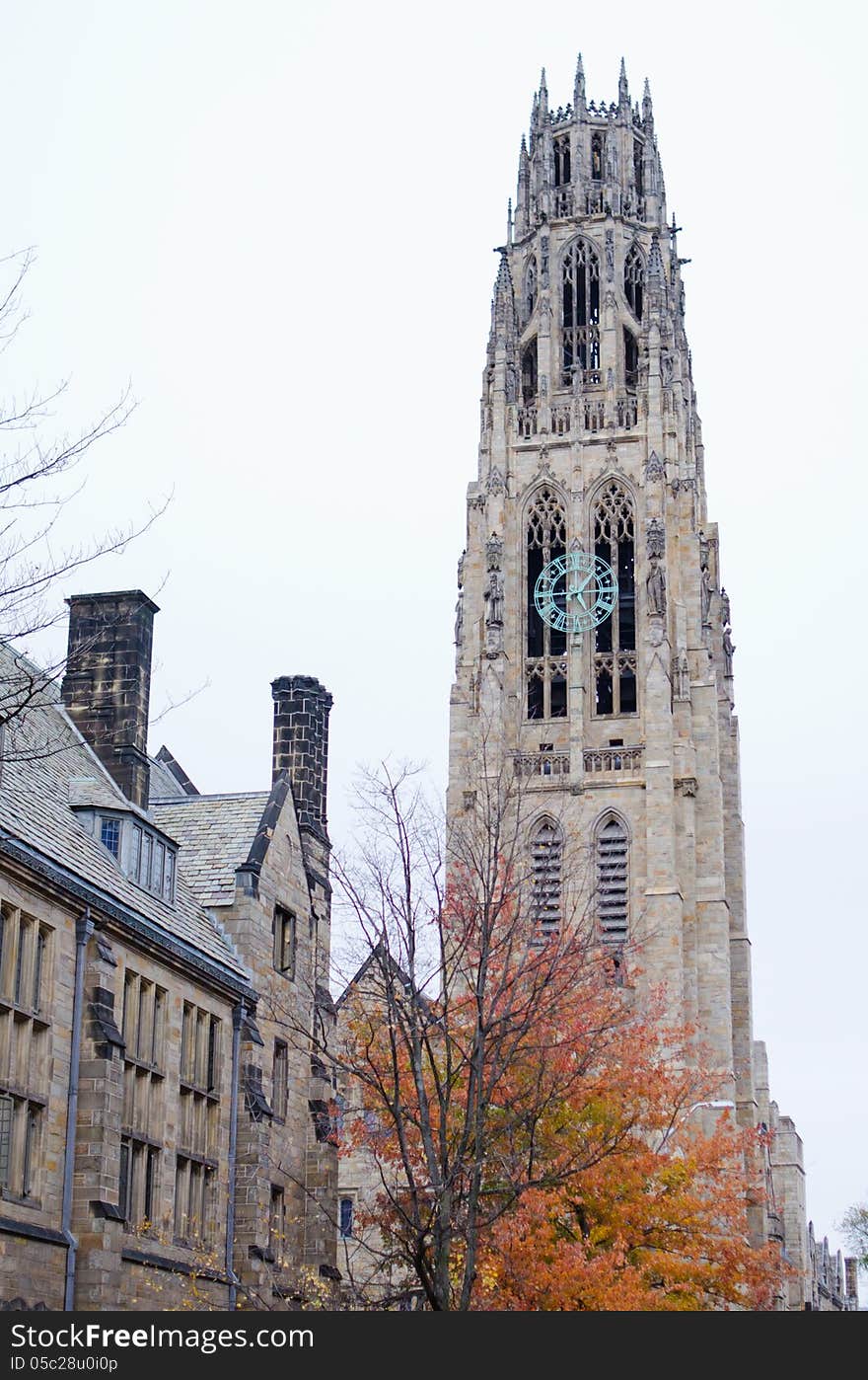 A view of Yale University's Harkness Tower in the heart of autumn. The Harkness Tower was constructed between 1917 and 1921 and is located in New Haven, Connecticut. A view of Yale University's Harkness Tower in the heart of autumn. The Harkness Tower was constructed between 1917 and 1921 and is located in New Haven, Connecticut.