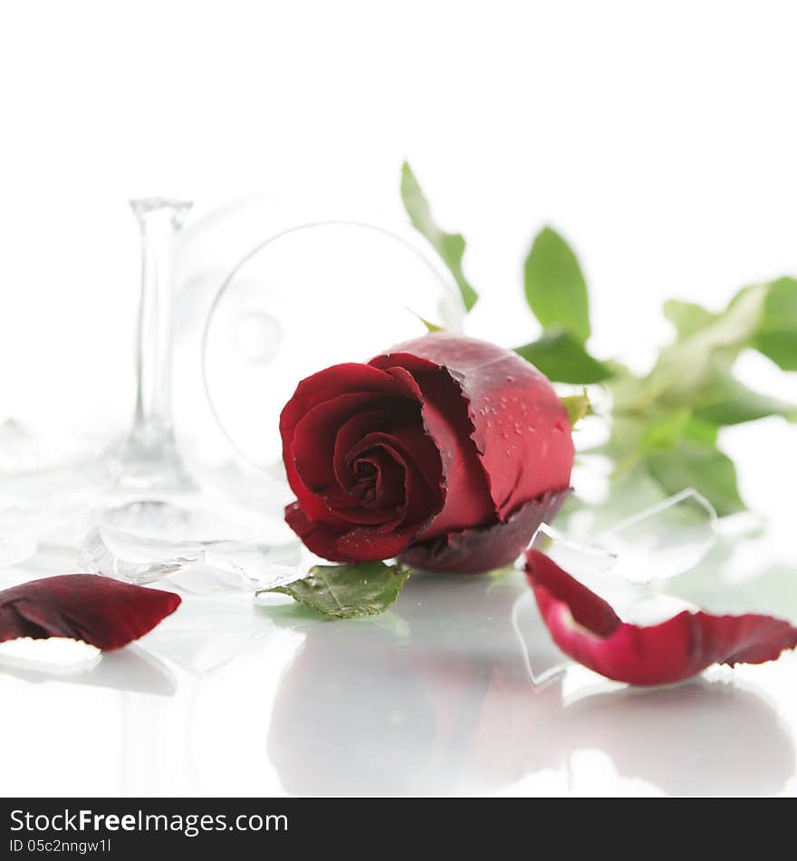 Red rose and broken glass of wine on white background