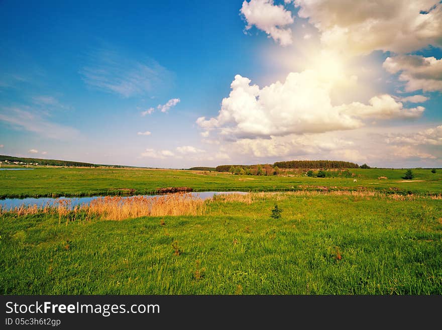 Beautiful Summer Field With River