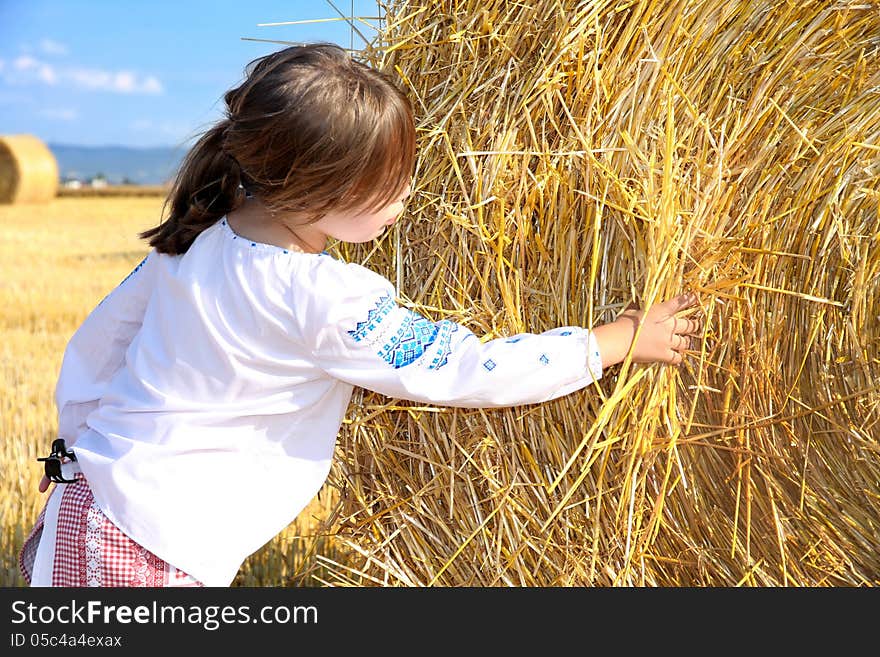 Small rural girl on harvest field