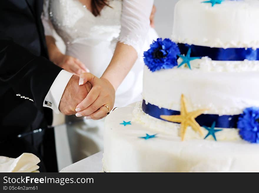 Groom And Bride Hands Cutting Wedding Cake