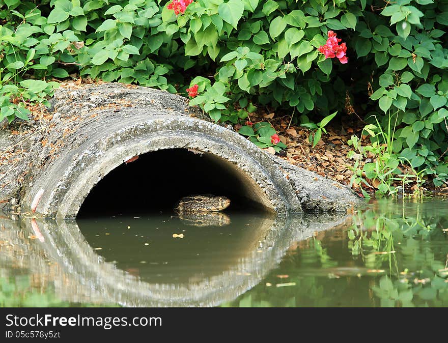 Drainage pipe with water monitor