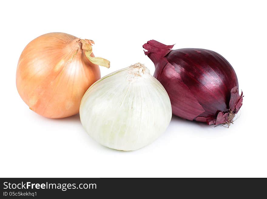 Onion on a white