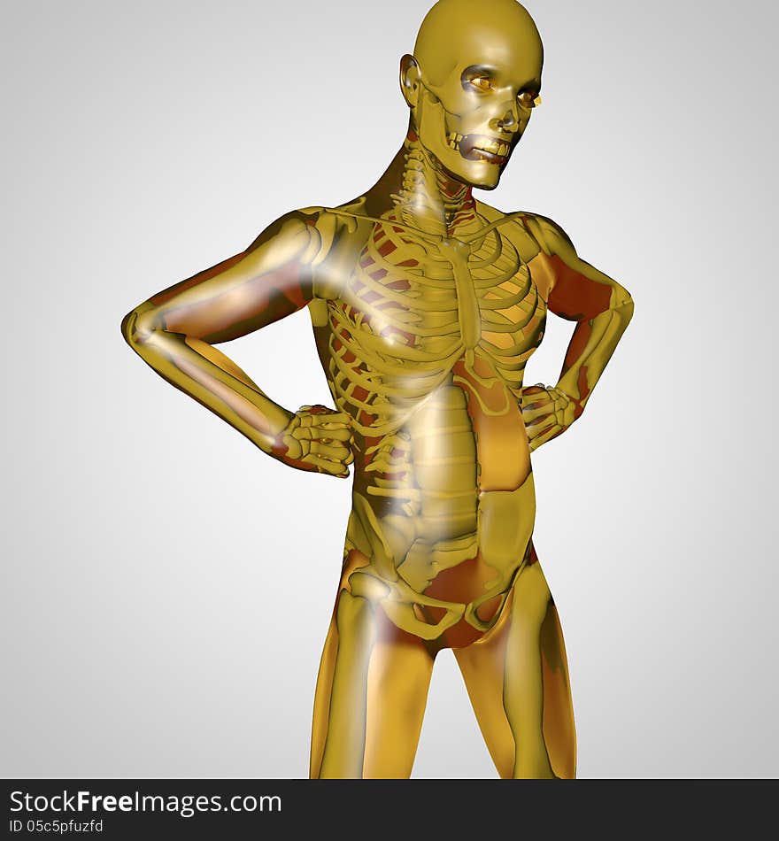 The human body is a marvel of nature with all the organs, the skeleton and the transparent skin