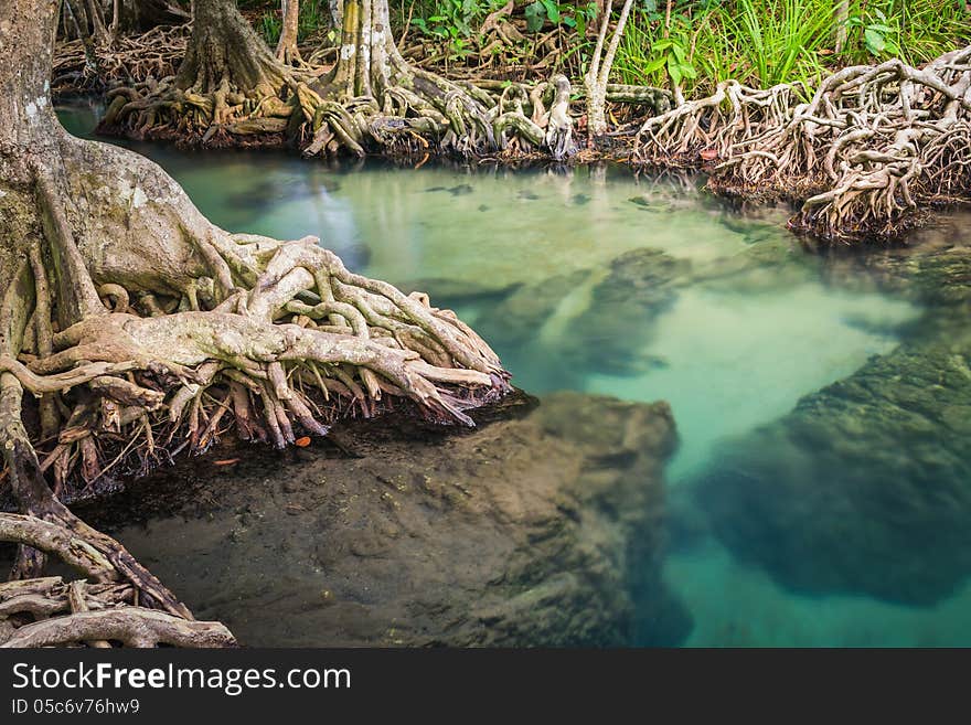 Klong Song Nam Pier, Krabi, Thailand