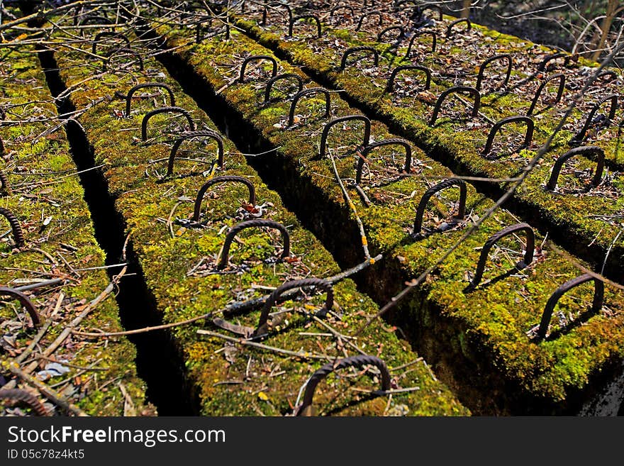 Abandoned panels covered with moss and mold