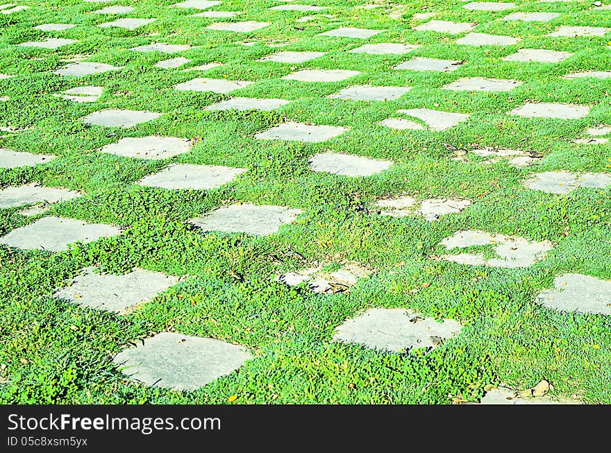 Abstract Grass Textured Background