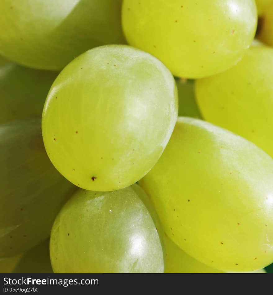 Green bunch of grapes (details)