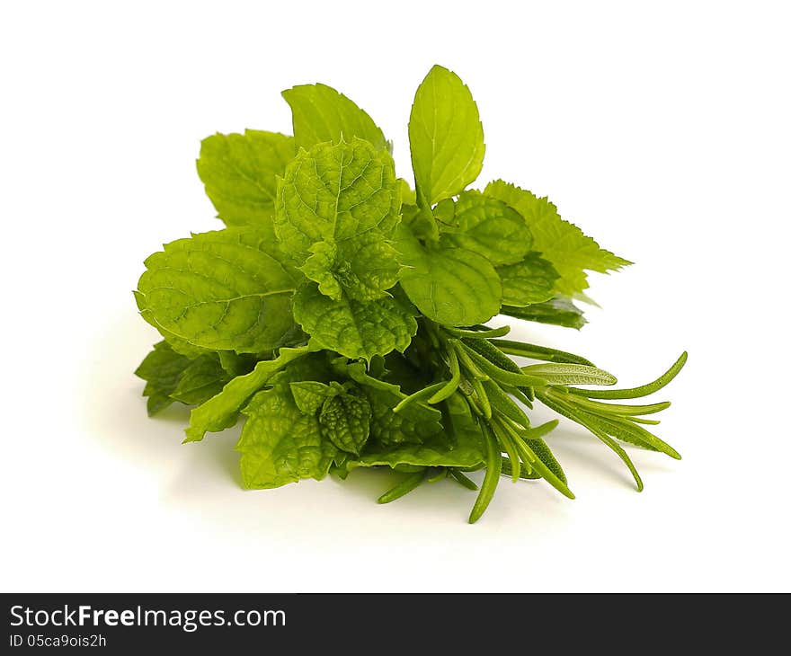 Fresh herbs on white background