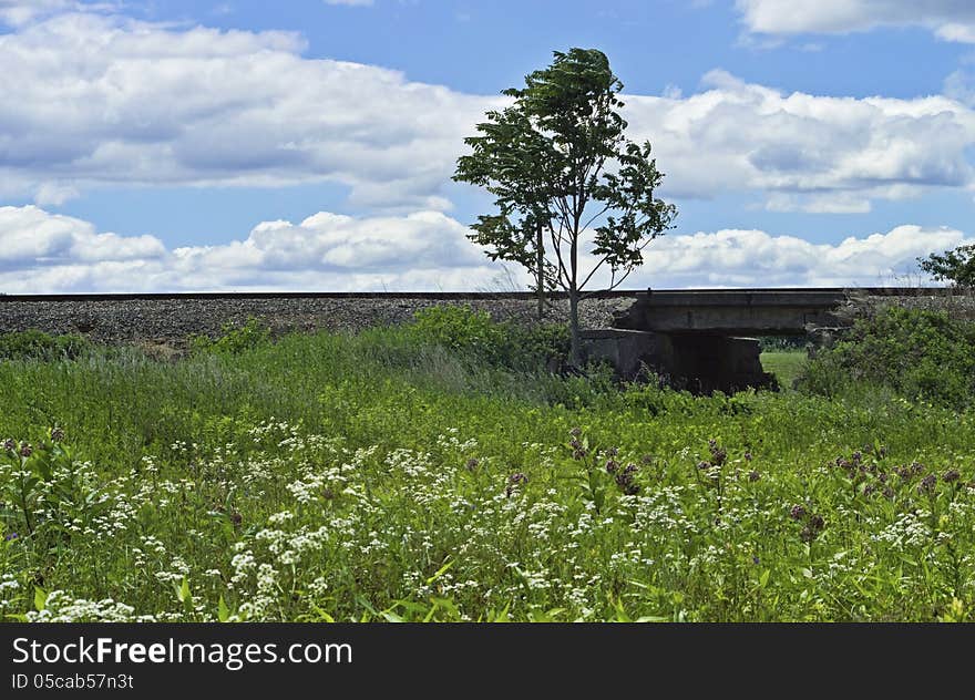 Train Bridge Landscape