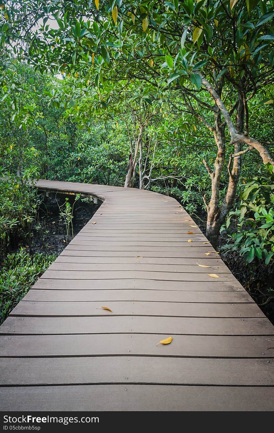 Wooden Walk Way Among The Forest