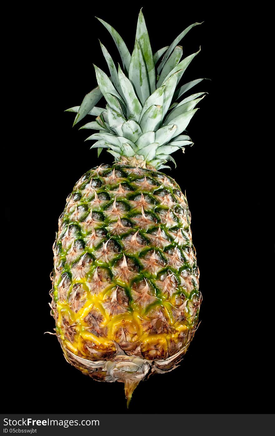 Pineapple fruit isolated on black background. Pineapple fruit isolated on black background