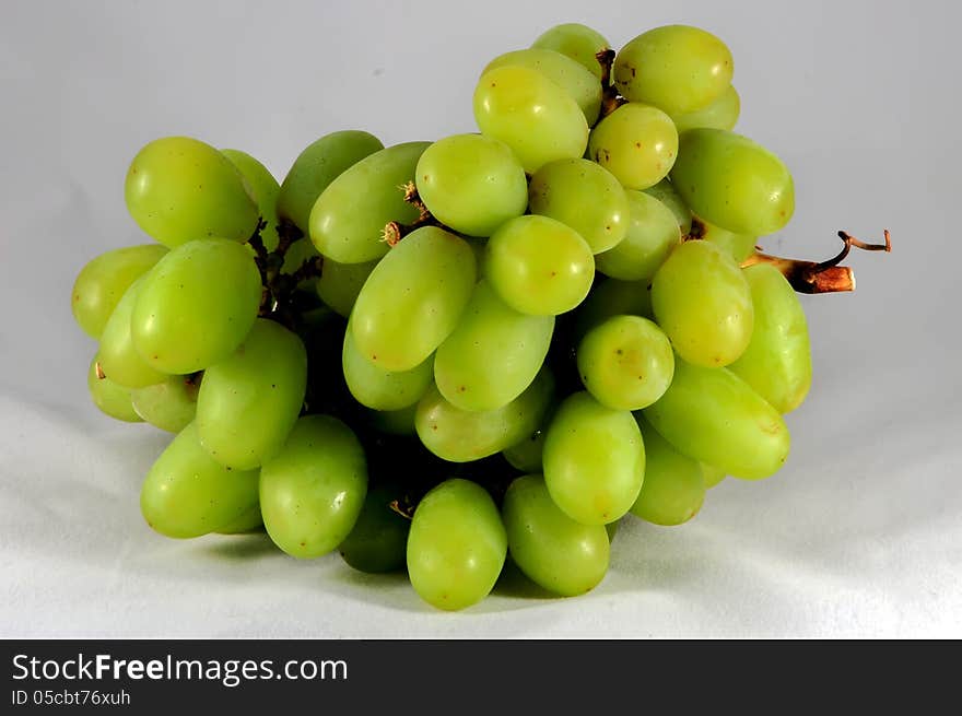 Branch of green grapes