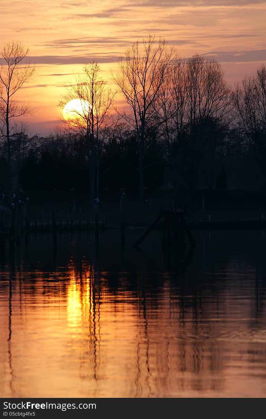 Late afternoon with orange sky and silhouetted treeline