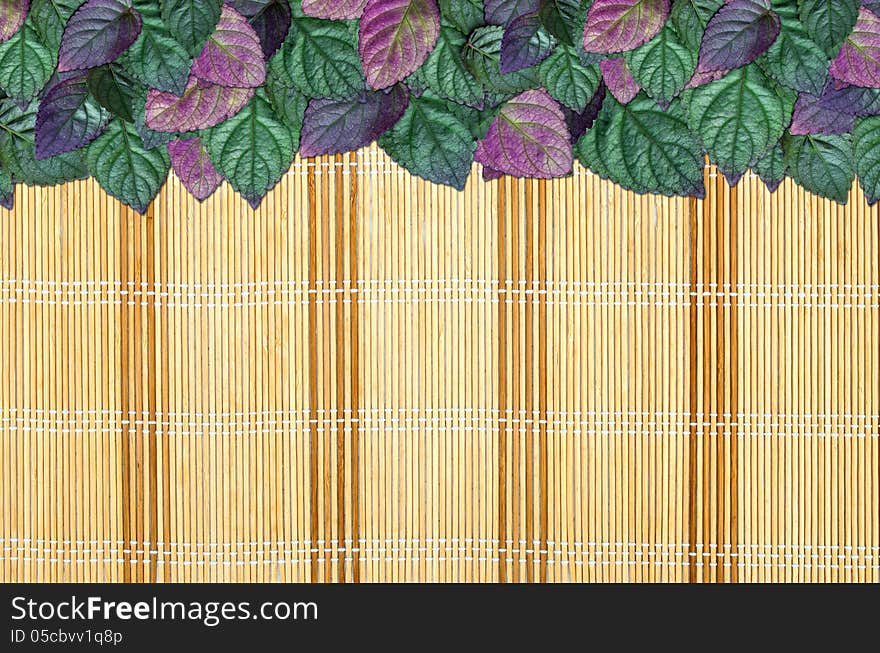 Begonia leaves Border or Frame on a Bamboo Mat Background