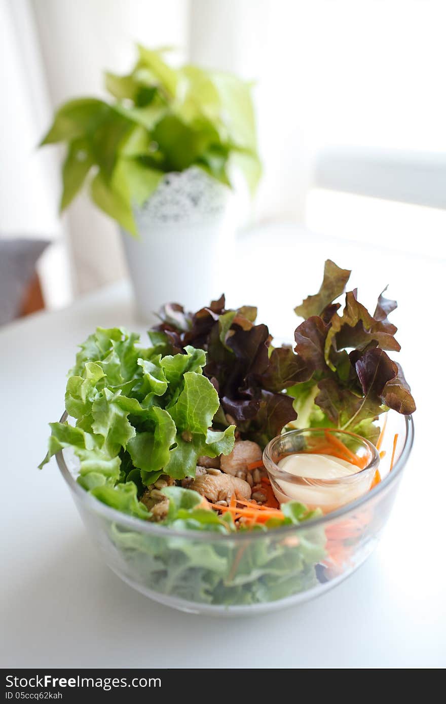 Salad on white background