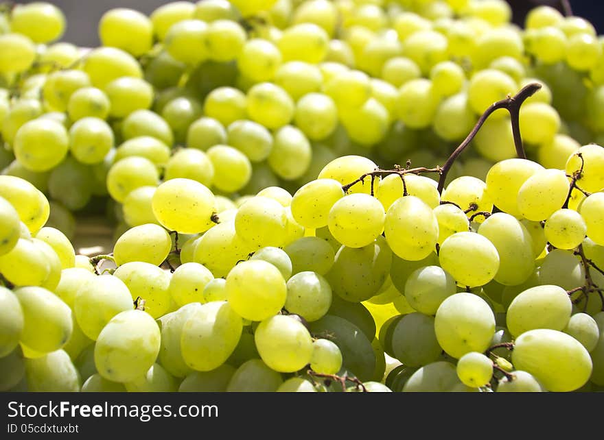 Grapes Isolated