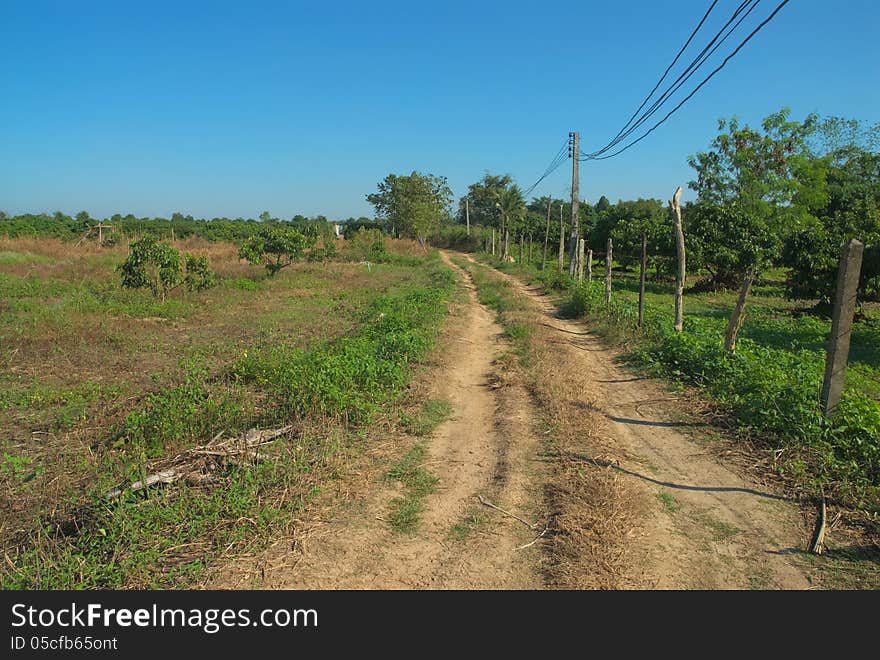 Country road in an agricultural landscape