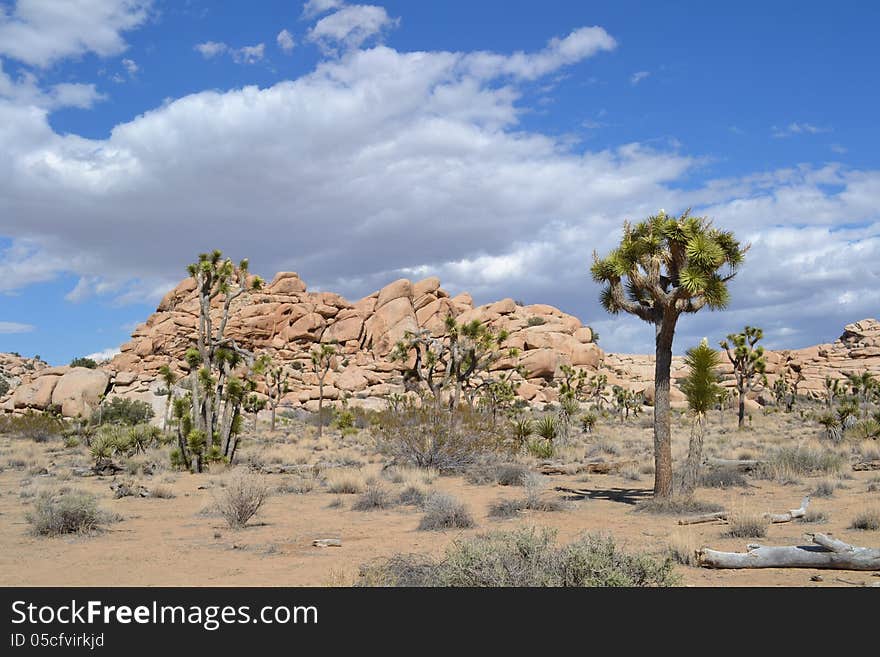 The sky and rock formations of Joshua tree NP. The sky and rock formations of Joshua tree NP