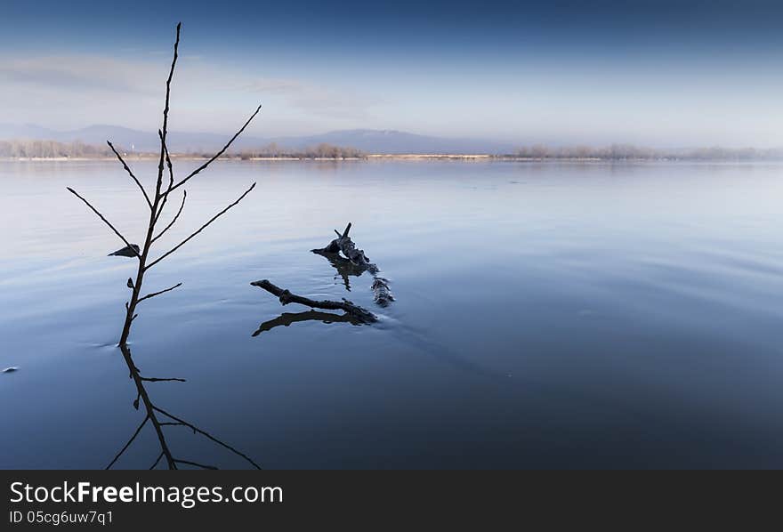 Mirror of trees wintertime riverbank