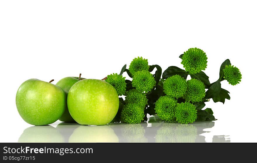 Still life with green apples and green asters on white background. Still life with green apples and green asters on white background