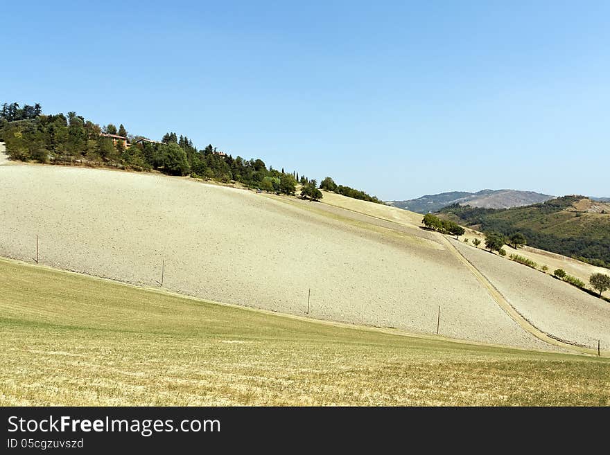 Landscape a rural field