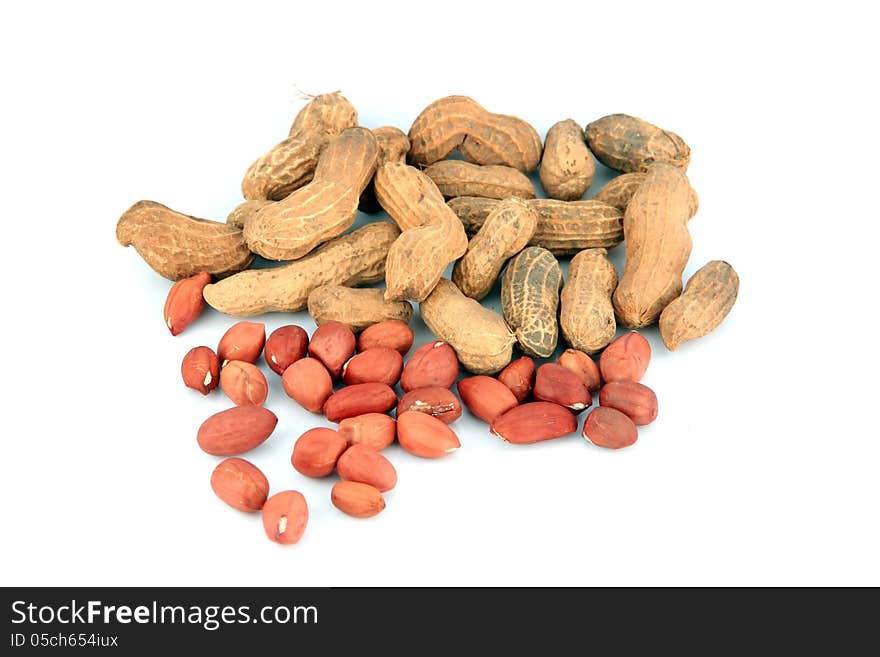 Focus Peanuts on white background.