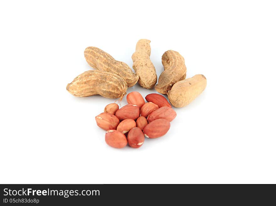 Peanuts on white background.