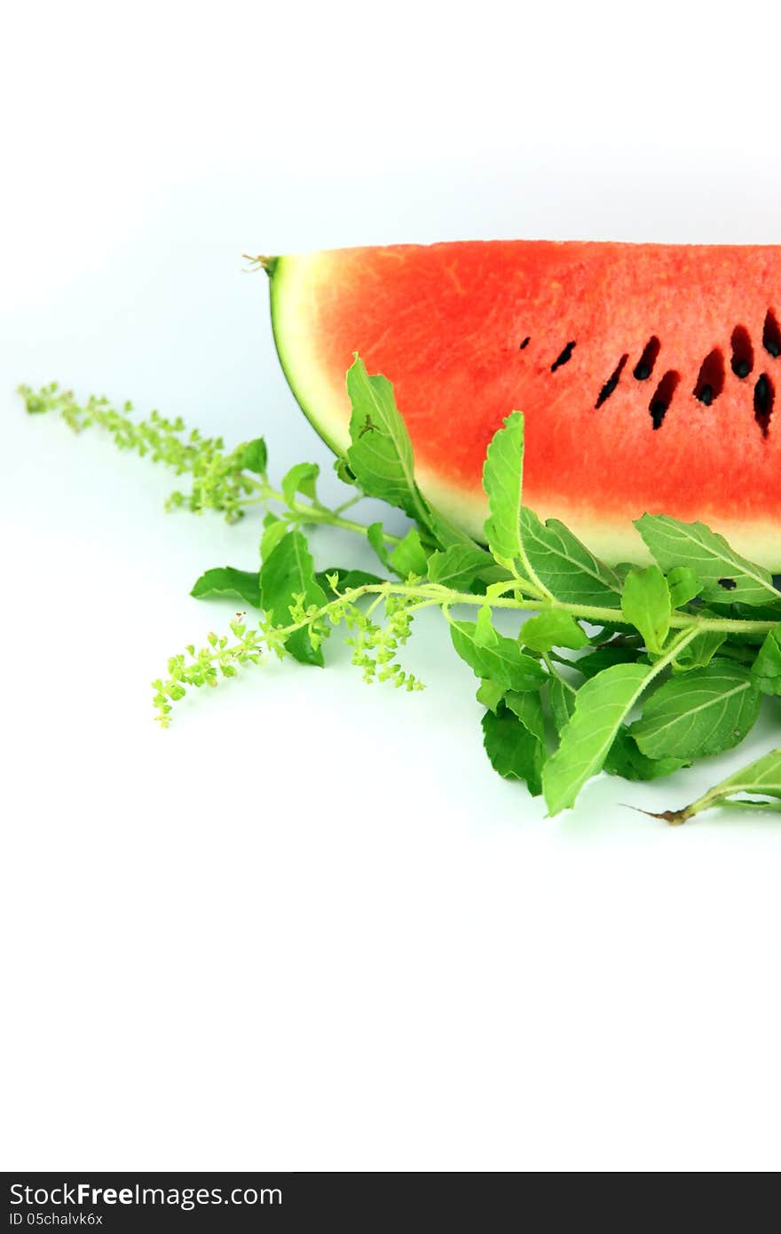 The Focus watermelon on white background.