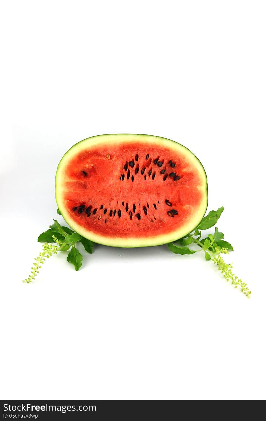 The Focus watermelon on white background.