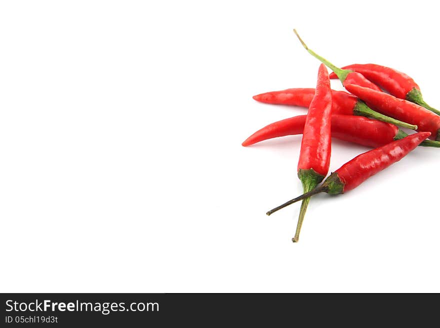 Red Hot Chili Peppers on the white background. Red Hot Chili Peppers on the white background.