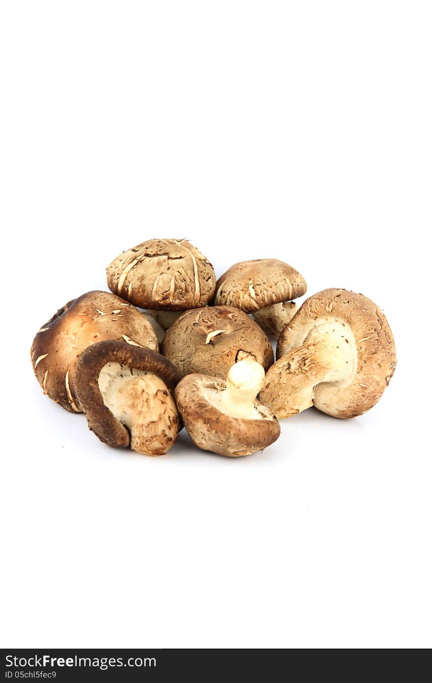 The Shiitake Mushrooms.