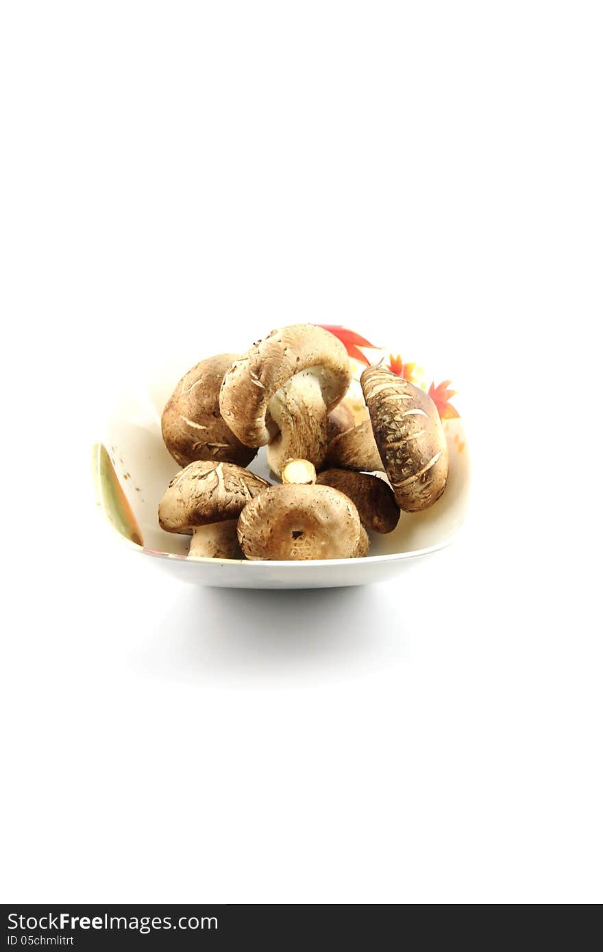 The Shiitake Mushrooms on the dish.