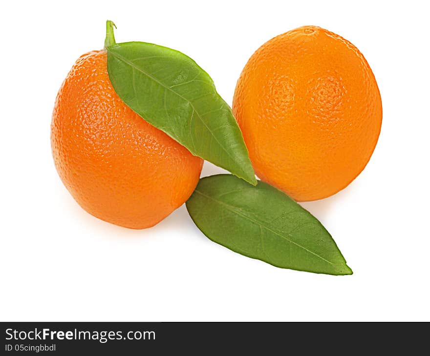 Fresh ripe orange fruits with leaves on white background