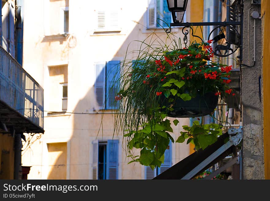 Street with flowers