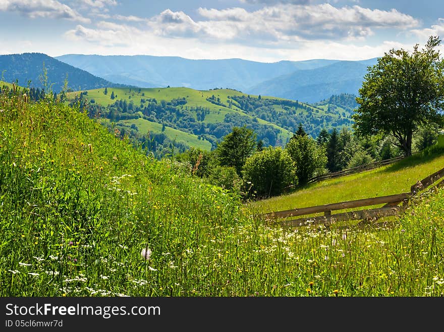 Wooden fence in mountains