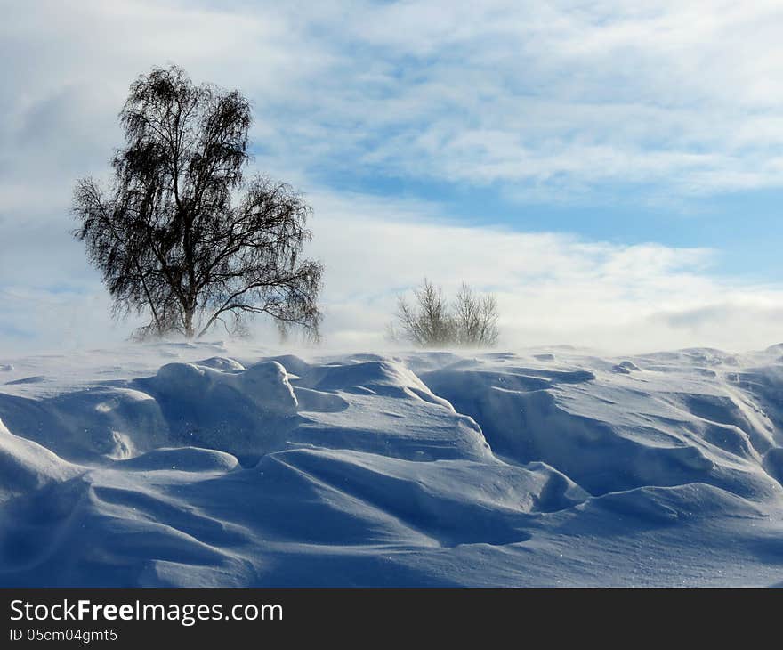 Strong wind carries snow pozemku on steppe. Strong wind carries snow pozemku on steppe