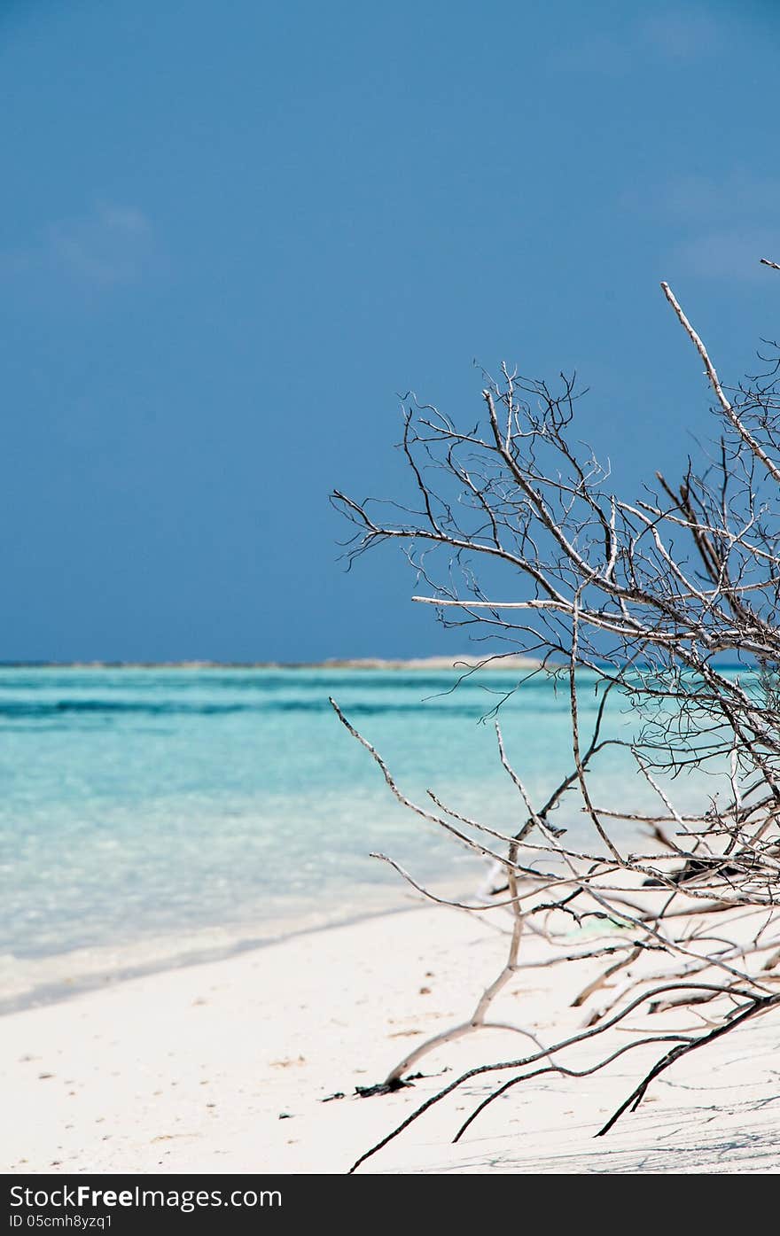 Typical beach in a soft light, with white sand in the Maldives islands. Typical beach in a soft light, with white sand in the Maldives islands.