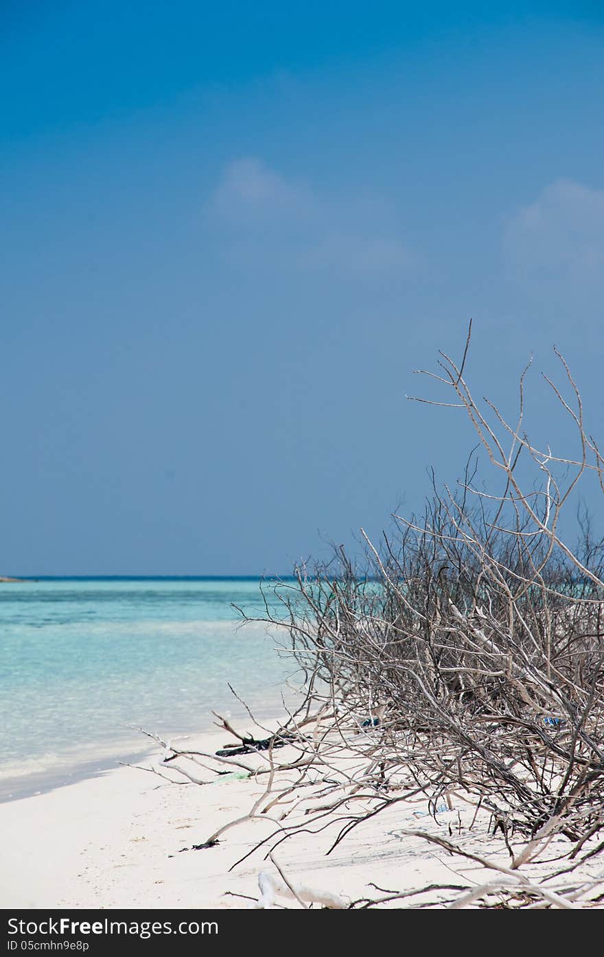 Beautiful view of MAldives beach with white sand. Beautiful view of MAldives beach with white sand