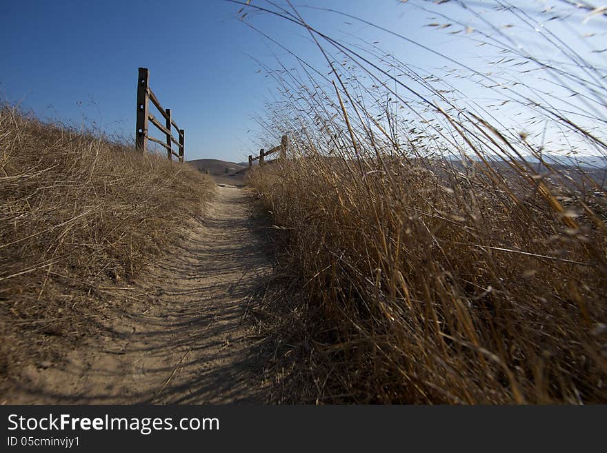 Meadow Trail