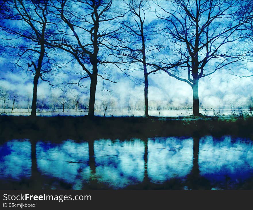 Trees and water as an artwork. Trees and water as an artwork