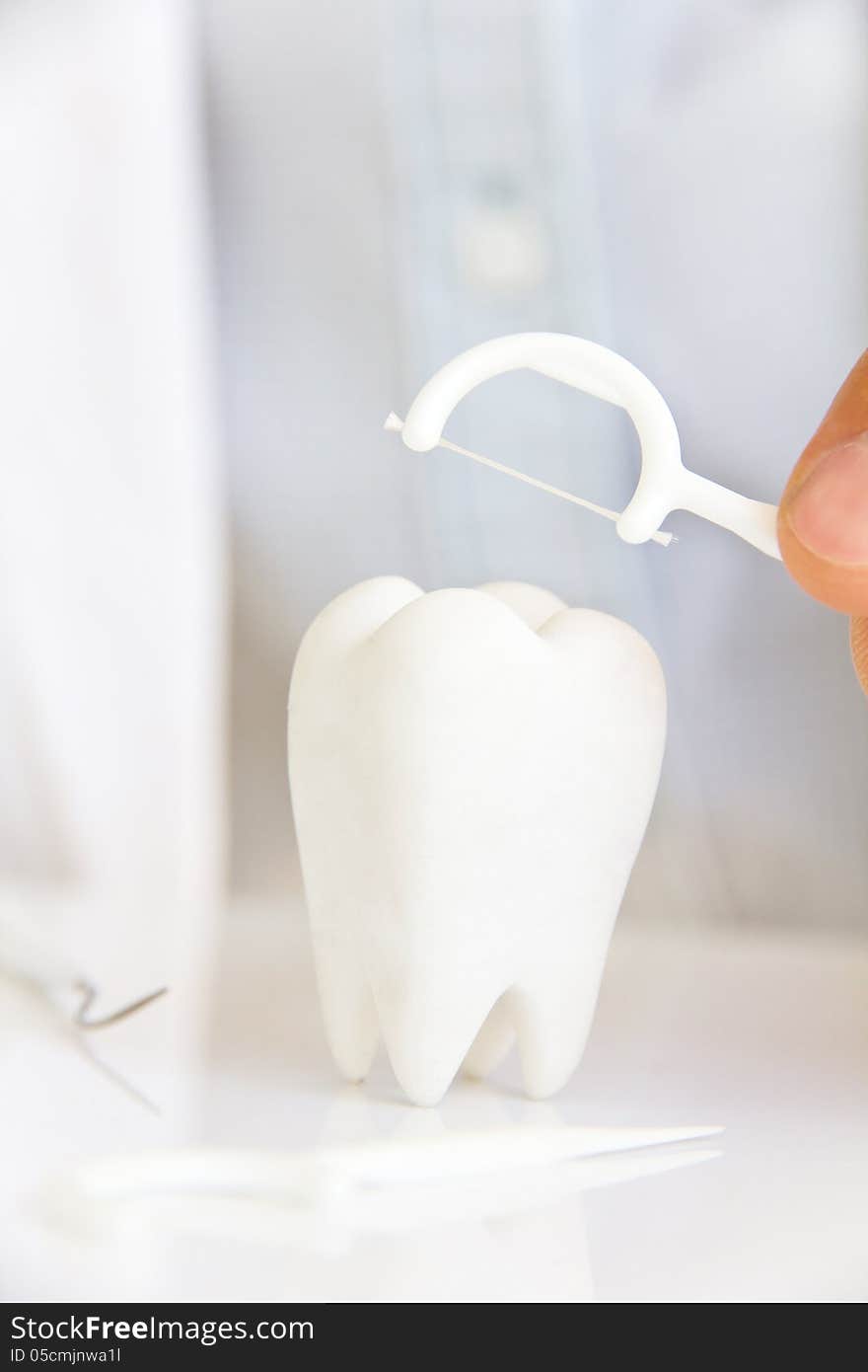 Dentist holding dental floss with molar