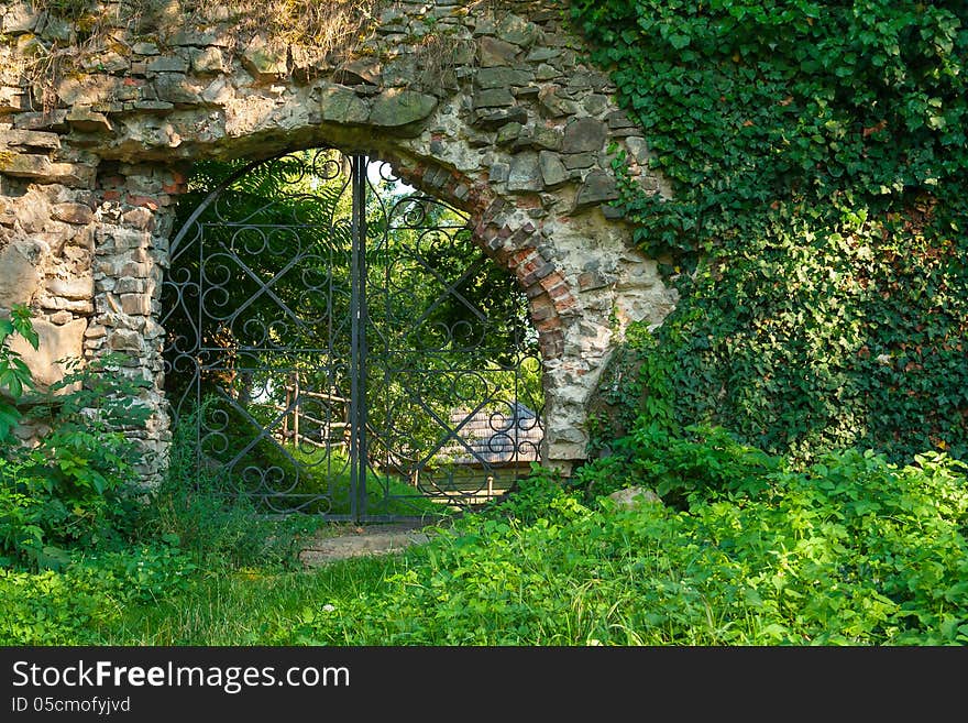 Stone wall covered with leaves