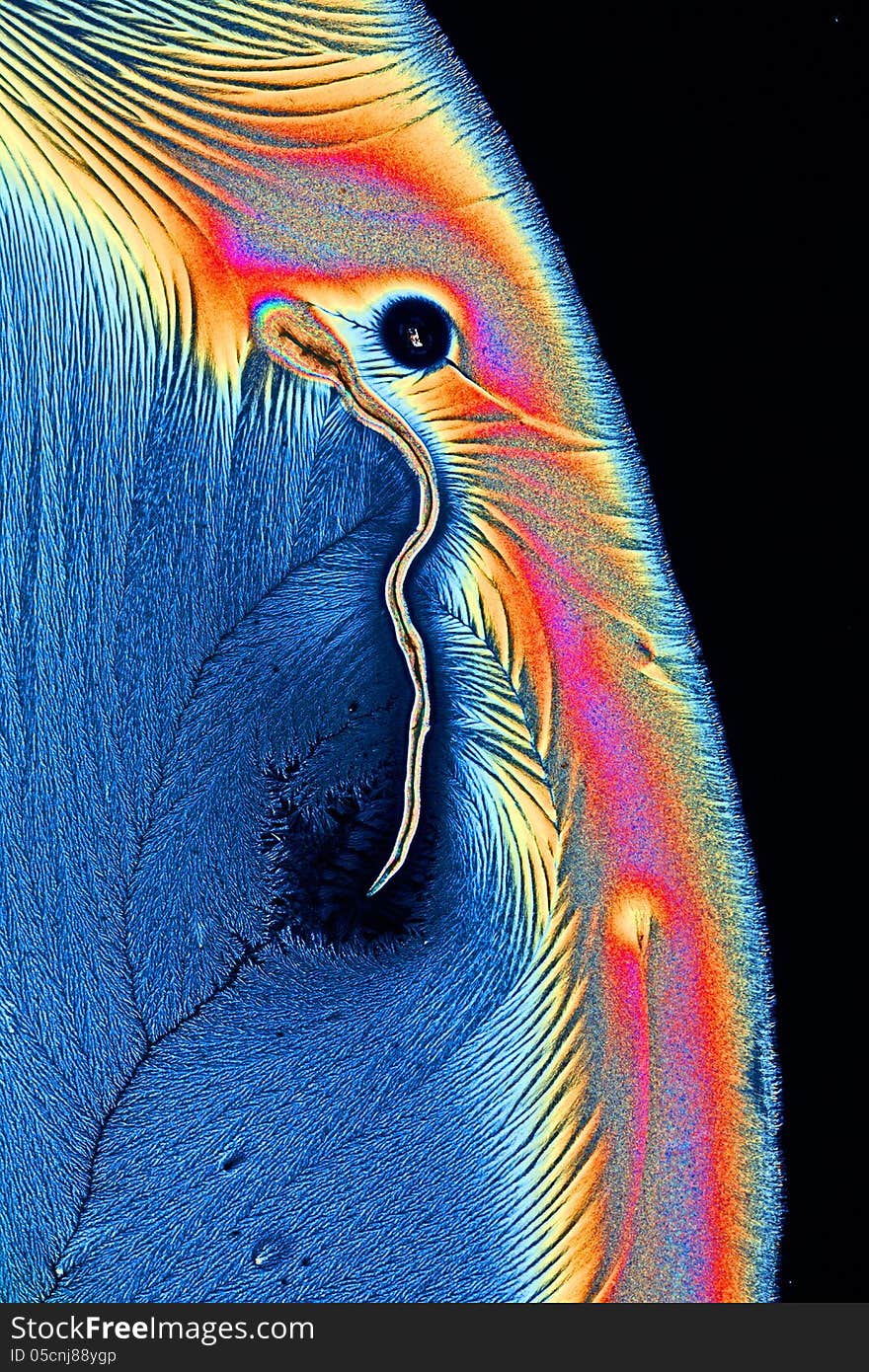 A part of a crystal of ascorbic acid seen through a microscope in poarized light. A part of a crystal of ascorbic acid seen through a microscope in poarized light