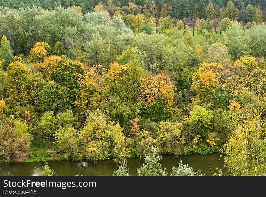 Fall Landscape