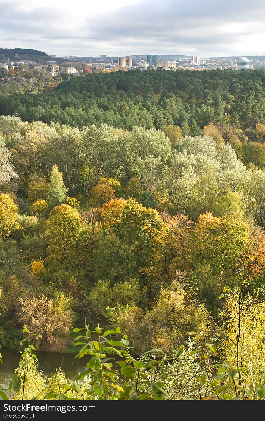 City line and fall forest, vertical image. City line and fall forest, vertical image