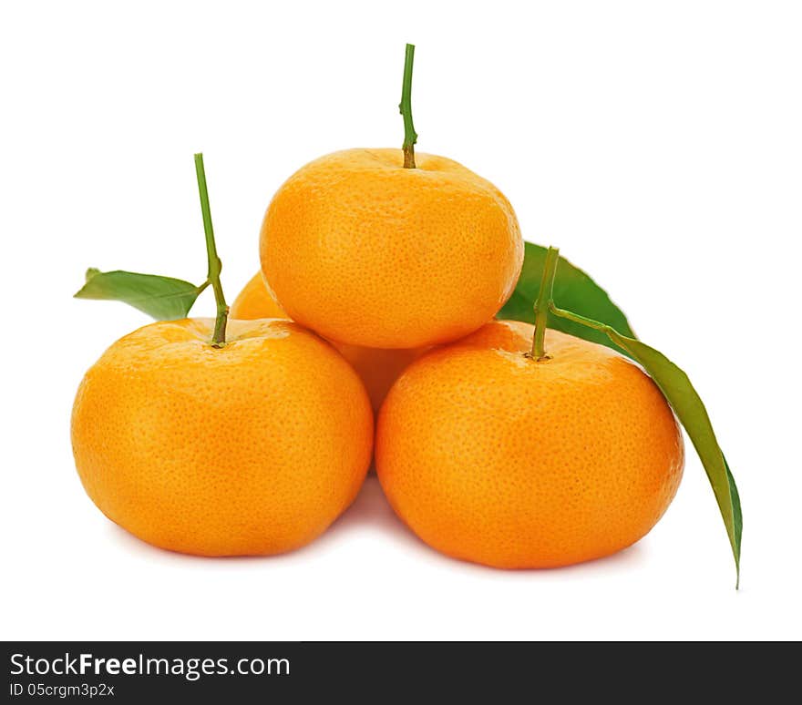 Fresh ripe tangerines with green leaves on white background.