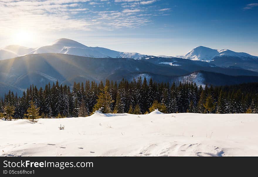 A frosty and sunny day is in mountains. A frosty and sunny day is in mountains