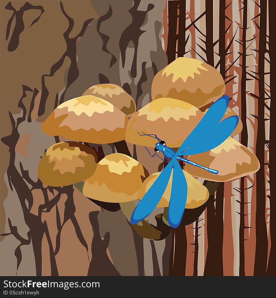 Landscape with mushrooms on a tree and dragonfly